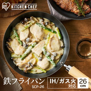 StCp 26cm ih tCp S IHΉ KX KX 󕰂sv S̃tCp S ؐnh ȒP  ؐ ؕ M` ~M  H  Lb` u