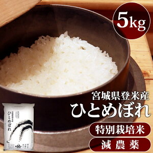  5kg  ߘa6NY _ {錧YЂƂ߂ڂ 5kg _ ʍ͔|   _ {錧oĎY ЂƂ߂ڂ 5kg qg{   R   ͂yTDzyTRS