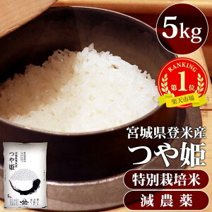  5kg  ߘa6NY {錧Y P _ ʍ͔|  5L 5kg 5LO R 5kg 5L 5L {錧YP Ђ cq R    kom