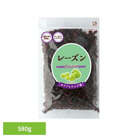 共立食品　レーズン徳用 580gレーズン ドライフルーツ お菓子作り パン サラダ ヨーグルト シリアル トッピング カルフォルニア 製菓 共立食品 [2606SX]