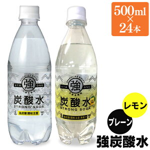 友桝飲料 強炭酸水 レモン 500ml 24本 Pet 水 ミネラルウォーター 炭酸水 価格比較 価格 Com