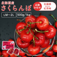 北海道産さくらんぼ 500g 1kg さくらんぼ 北海道 産地直送 旬 農産 フルーツ ギフト 佐藤錦 紅秀峰 【TD…