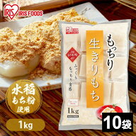 餅 切り餅 1kg×10袋 業務用 まとめ買い 個包装 保存 もち米粉 角餅 生切り餅 切餅 おやつ お正月 年末 …
