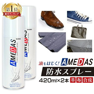 【2本セット】アメダス 防水スプレー 420ml 防水 スノーボードウエア 大容量 防水スプレー 雨 雪 撥水 防汚 手入れ メンテナンス スキーウエア スケート 保護 フッ素 スプレー 皮革 革 おしゃ