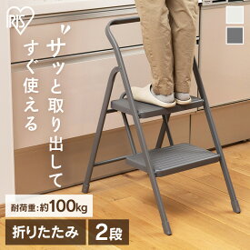 ≪ポイント5倍★28日9:59迄≫踏み台 脚立 2段 折りたたみステップ ステップスツール ステップチェア 梯子 はしご OSU-2R 折りたたみ 折り畳みステップ台 シンプル スチール 座れる 台 掃除 キッチン 室内 アイリスオーヤマ 軽量