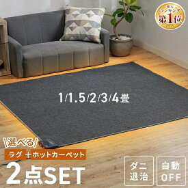【ランキング1位】ホットカーペット 1畳 1.5畳 2畳 3畳 本体 ラグ セット もこふわ 長方形 正方形 電気カーペット ホットマット 電気マット 速暖 温度調節 切忘れタイマー ダニ対策 足元暖房 床暖房 暖房器具 テクノス TEKNOS *