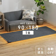 [最大500円OFFクーポン/新生活フェア]TEKNOS 1畳用カーペット本体 ダークグレー HC-IR100カーペット ホッ…