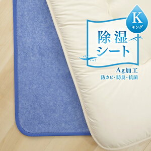 [300~OFFN[|/Z[y[W] lxIAVX V[gih_jH/AGL@\tj LO u[ 53/BJKX179.0000  C΍ }bg V[g l eCW TEIJIN