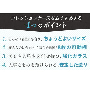 楽天市場 コレクションケース ロータイプ 966 967 コレクションボックス ガラスケース ガラス飾り棚 ショーケース フィギュアケース フィギュアラック 収納 シンプル 趣味 ホワイト ダークブラウン D 便利生活 マイルーム