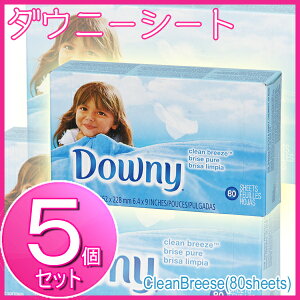 【送料無料】【5個セット】ダウニーシートクリーンブリーズ80枚入り