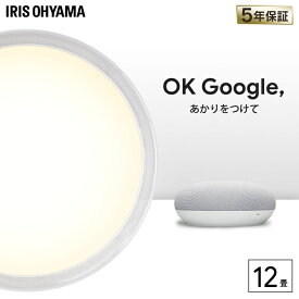 シーリングライト 12畳 LED デザインフレームタイプ 6.0 AIスピーカー CL12DL-6.0AIT+Google Nest MiniLEDシーリングライト 音声操作 12畳調色 明かり ライト 節電 スマートスピーカー GoogleNestMini アイリスオーヤマ