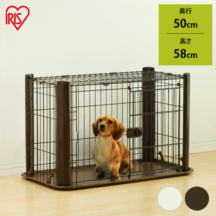 楽天市場 犬 ゲージ トイレ別 犬 ケージ カバー ペットサークル 犬 ケージ 1段 シニア犬 老犬 目隠し 子犬 飼い始め カラースリムケージ 1段 P Csc 901 おしゃれ アイリスオーヤマ 拡販 便利生活 マイルーム 楽天市場 犬 ゲージ トイレ別 犬 ケージ カバー ペットサークル 犬 ケージ 1段 シニア犬 老犬 目隠し 子犬 飼い始め カラースリムケージ 1段 P Csc 901 おしゃれ アイリスオーヤマ 拡販 便利生活 マイルーム