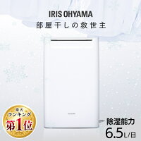  除湿機 コンプレッサー アイリスオーヤマ コンパクト 除湿器 小型 16畳 角度調整 1.8L メーカー1年保証 コンプレッサー式 衣類乾燥機 節電 省エネ 部屋干し 衣類乾燥除湿機 タイマー DCE-6515
