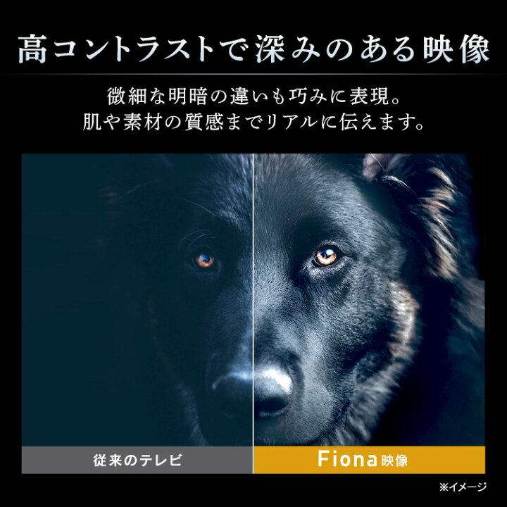 楽天市場】【5%OFFクーポン&超衝撃価格】テレビ 43型 4K 液晶テレビ アイリスオーヤマ 4Kテレビ 43V型Fiona 43UB10PB ブラック テレビ 液晶テレビ TV Fiona 4K 4K対応 43V型 43インチ 薄型 軽量 地デジ BS CS データ放送【KP】【あす楽】 : 便利生活 マイルーム 楽天市場】【5%OFFクーポン&超衝撃価格】テレビ 43型 4K 液晶テレビ アイリスオーヤマ 4Kテレビ 43V型Fiona 43UB10PB ブラック テレビ 液晶テレビ TV Fiona 4K 4K対応 43V型 43インチ 薄型 軽量 地デジ BS CS データ放送【KP】【あす楽】 : 便利生活 マイルーム