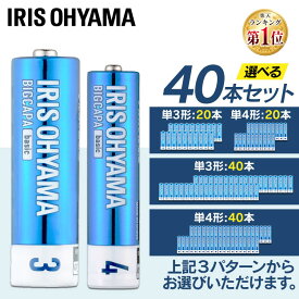 ＼1000円ポッキリ／【選べるセット】乾電池 単3 単4 40本セット 100本セット 単三 単四 電池 アルカリ乾電池 BIGCAPA basic セット 乾電池セット 乾電池 防災用品 非常用 備蓄 アイリスオーヤマ 5年保存【メール便】【代金引換不可・日時指定不可】【MAIL】