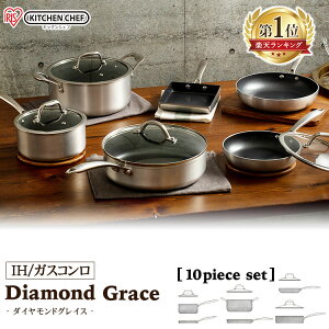 tCp 10_Zbg DG-SE10 _ChOCX Vo[ uY _ChR[gp tCp Ȃ   ϖՐ  v KX  ACXI[} 26cm 24cm ih ih