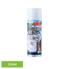 洗濯槽クリーナー 洗濯槽洗剤 泡スプレー らくらく洗濯槽まるごと泡スプレー 220ml 54024100洗濯槽クリーナー 洗濯槽洗剤 泡スプレー 掃除 洗濯槽 洗剤 洗濯機 簡単 らくらく スプレータイプ 泡 スプレー カビ 汚れ