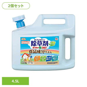 ySALE11%OFFz A[X K[fpi ̑R 4.5L×2Zbg A[XK[f EARTH [₭  Hi e WE n[u̍  RP [2512SE]