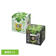 ★最大5,000円OFFクーポン/家電まつり★育てるえだ豆栽培セット GD-979 GD-995栽培キット 栽培セット え…