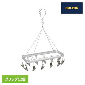 PINCH HANGER S 12CLIPS ALUMINUM RN-0429S/12DULTON ランドリー 洗濯 ピンチハンガー ダルトン 洗濯用品 ダルトン 【B】