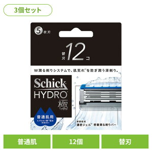 カミソリ シック 極 替刃」の人気商品一覧・価格比較 - 価格.com