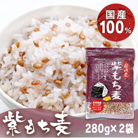 【2袋】国内産紫もち麦 280g もちもち プチプチ 紫もち麦 食物繊維 β-グルカン ダイシモチ 国内産 ベストアメニティ【D】【B】【メール便】