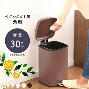 [ő2,000~OFFN[|] S~  ӂt AFB-S30p^ ݔ y[ y_ lp 30L KX_p[ CeA Lb` 䏊 É S Ci[{bNX X^CbV  EC