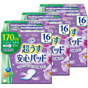 [ő2,000~OFFN[|] y3ZbgzSpbh ԁESp 170cc 16 Apbh pbh y A APA lp ނ ֗pi { t