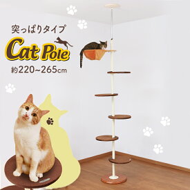 ボンビ キャットポール ナチュラル ビーンズ キャットタワー スリム 省スペース 突っ張り ハンモック付 キャットポール おしゃれ 猫タワー ボンビ キャットランド 木登り【D】