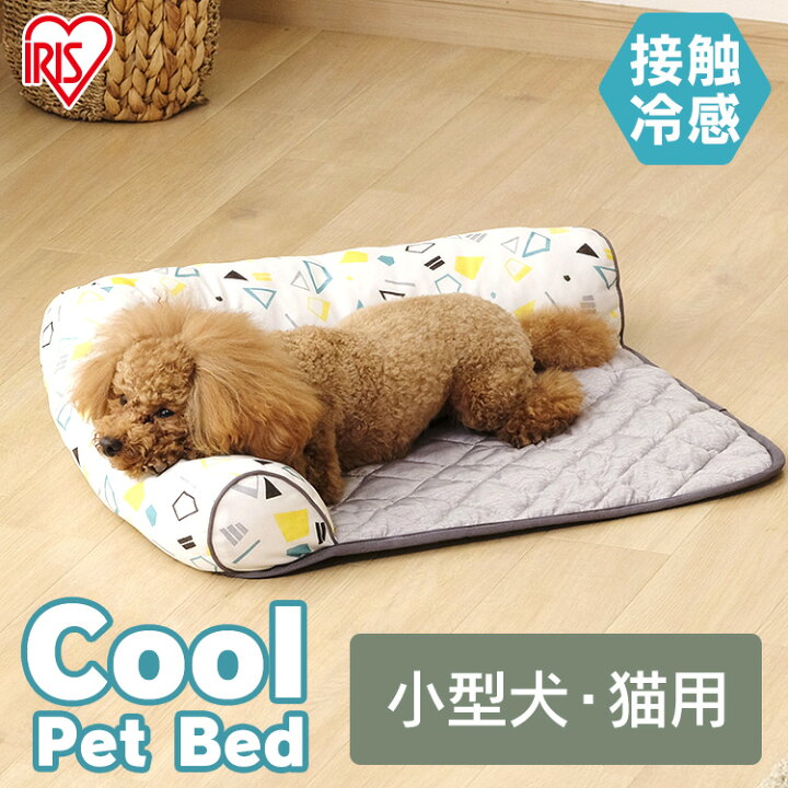 楽天市場 ペット用クール のんびりベッド Pcb 22n 小型犬 のんびり あごのせ ペット用 クール ベッド 枕付き ペットベッド カドラー 家 室内 犬 イヌ いぬ 猫 ネコ ねこ 春 夏 涼しい ひんやり アイリスオーヤマ 便利生活 マイルーム
