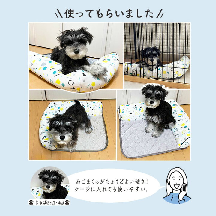 楽天市場 ペット用クール のんびりベッド Pcb 22n 小型犬 のんびり あごのせ ペット用 クール ベッド 枕付き ペットベッド カドラー 家 室内 犬 イヌ いぬ 猫 ネコ ねこ 春 夏 涼しい ひんやり アイリスオーヤマ 便利生活 マイルーム