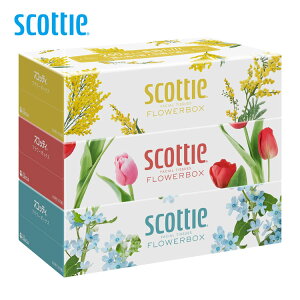 eBV  XRbeB 500(250g) 3 t[{bNX {NVA eBbV ԕ eBbVy[p[  {bNXeBbV Օi NVA eBbV scottie {N