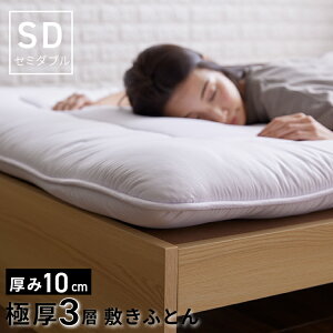 ~zc Z~_u Ɍ ~zc   }bgX SD {[3w~zc Ow\ E^ s[`XL 10cm ~ӂƂ Q zc l炵 Ԃ q Q xb