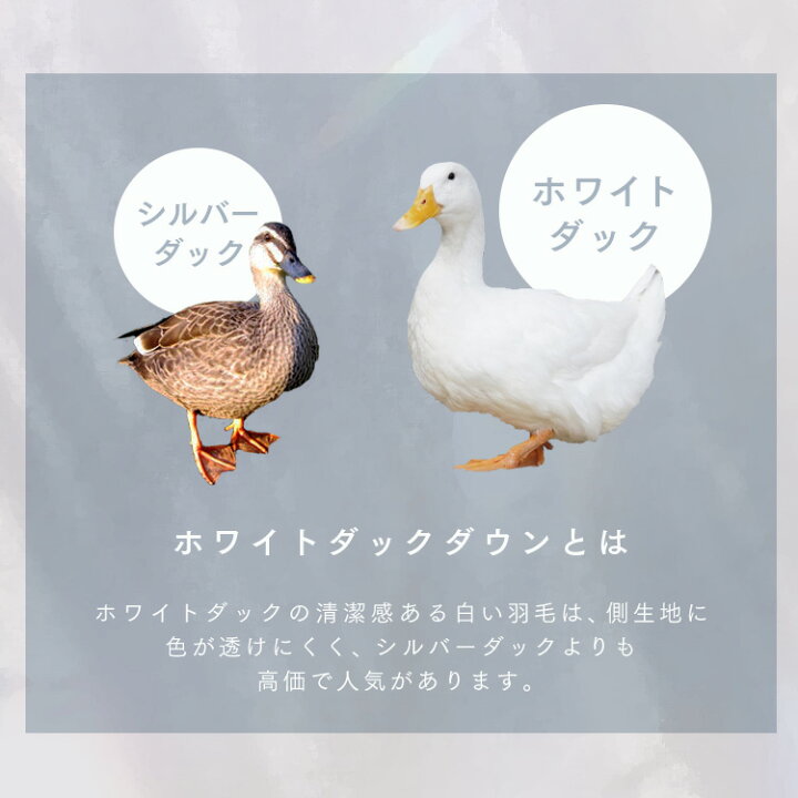 楽天市場】[150円OFFｸｰﾎﾟﾝ有/新生活フェア]ダックダウン 掛布団 暖かい 