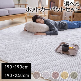 ラグ 洗える 厚手 2畳 3畳 北欧 おしゃれ 韓国 ラグマット 洗えるラグ オールシーズン カーペット 滑り止め付 絨毯 抗菌 防臭 防ダニ 静電気防止加工 ホットカーペット対応 床暖房対応 らぐ フランネルラグ *