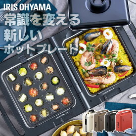 ホットプレート 大型 両面ホットプレート アイリスオーヤマ 2品同時調理 プレートごと 温度調節 プレート3種 焼肉 たこ焼き ふた付 折りたたみ お手入れ簡単 キッチン家電 ワイド DPOL-W31-C ノーマル DPOL-301 *