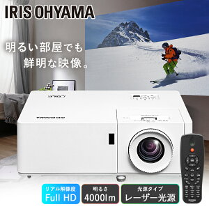 vWFN^[ ACXI[}  t {H IP-EH400W  [U[ Ɩp rWlX ItBX  c JtF HX f