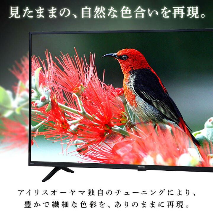 楽天市場】[ほぼ全品P3倍]テレビ 24型 液晶テレビ ブラック アイリス  