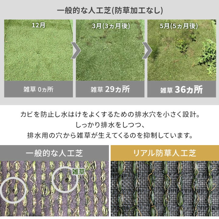 楽天市場 人工芝 2m 5m 10平米 ロール 芝生ロール 人工 芝 リアル防草人工芝 Rp 3025 人工芝 国産 雑草対策 人工芝生 芝生 アイリスオーヤマ 人工芝マット 芝生マット アイリスソーコー ベランダ テラス バルコニー ガーデニング ガーデン D あす楽 便利生活
