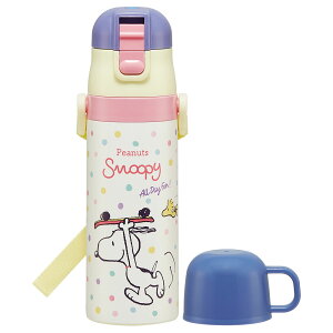  {g q y2WAYXeX{g SKDC4 {g q XeX LbY XP[^[ Rbv Ƃ XP[^[ AiƐ̏25 vZX25 ~LtD LeBrbN