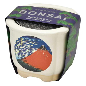 [ő2,000~OFFN[|] JAPANESE BONSAI  GD-64003 GD-64004 GD-64005 GD-64006͔|Lbg ͔|Zbg ~ V| a ܂ xmR ˂ yY SEISHIN gxm ԕxm L xmƔL