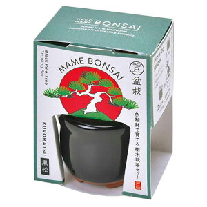HACO MAME ~͍͔|Zbg GD-96501 GD-96502 GD-96504͔|Lbg ͔|Zbg BONSAI V| ~ SEISHIN  蕨 킩Ă  ԏ ܐFƂ炵