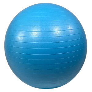 oX{[55cm 23-187oX{[ tBbglX _CGbg N ̊g[jO GNTTCY Xgb` g[jO g  S[h Vo[ ANA