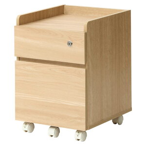 [Ƌ fXNLrlbg CABINET Lrlbg FJ-029-IRfXNe 2io LX^[t TChLrlbg hZu Vv  I[N EH[ibg r[` ؖڃz