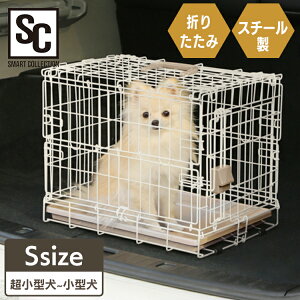  P[W t ܂肽݃P[W Cgi` STCY ACXI[} P[W ܂肽 ړ ł a@