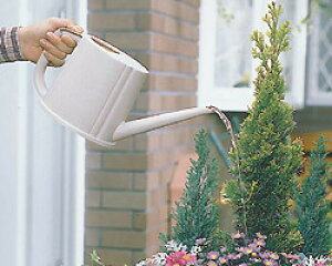 CeAsb`[ IP-15yACXI[}z