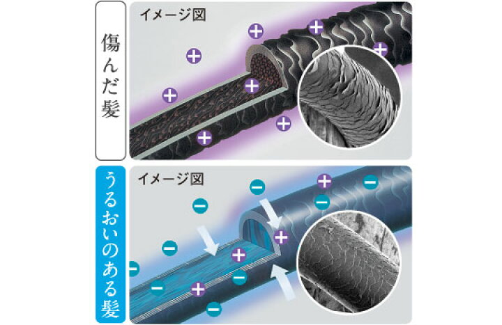 楽天市場】【最安値挑戦中☆】テスコム ドライヤー カールタイプ マイナスイオン カールドライヤー TIC756 くるくる ドライヤー ione 水洗いOK ヘアドライヤー ドライアー TESCOM 軽量 コンパクト おしゃれ プレゼント ふんわり TIC756-P スパークルピンク TIC756-S ... 楽天市場】【最安値挑戦中☆】テスコム ドライヤー カールタイプ マイナスイオン カールドライヤー TIC756 くるくる ドライヤー ione 水洗いOK ヘアドライヤー ドライアー TESCOM 軽量 コンパクト おしゃれ プレゼント ふんわり TIC756-P スパークルピンク TIC756-S ...