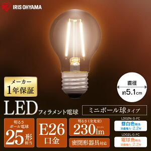 LED�t�B�������g�d�� �~�j�{�[�����^�C�v E26 25�`���� LDG2N-G-FC LDG2L-G-FC �����F���� �d���F���� �d�� �Ɩ� LED ���C�g Light �d�C �d�� ������ ������ ���� ���� ���� ���� raito denki dennkyuu ���邢 ��