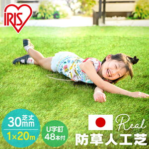 lH 1m×20m ACXI[} hV[ǧ^ [ h ŏ30mm 20 IP-30120   Ő K[f ybg AlH lHŐ lHŃ}bg lHŃ[ [^Cv Ő[