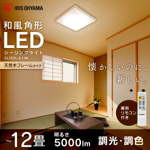 LEDV[OCg ap` 12  F CL12DL-5.1JM  F F dF LED V[O VƖ Ɩ LEDƖ ȃGl ߓd  a VR ^T[Lbg 12 A